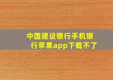 中国建设银行手机银行苹果app下载不了