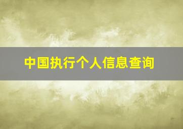 中国执行个人信息查询