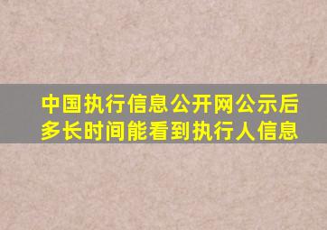 中国执行信息公开网公示后多长时间能看到执行人信息