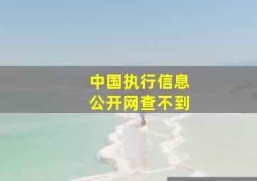 中国执行信息公开网查不到