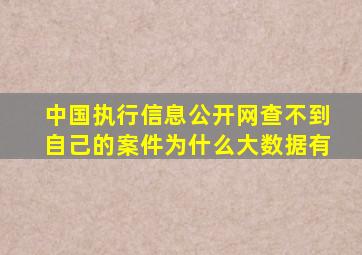 中国执行信息公开网查不到自己的案件为什么大数据有