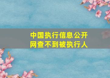 中国执行信息公开网查不到被执行人