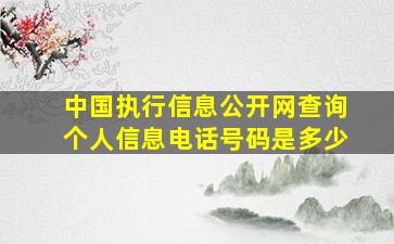 中国执行信息公开网查询个人信息电话号码是多少