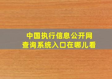 中国执行信息公开网查询系统入口在哪儿看