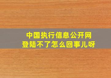 中国执行信息公开网登陆不了怎么回事儿呀