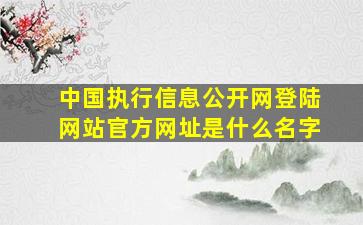 中国执行信息公开网登陆网站官方网址是什么名字