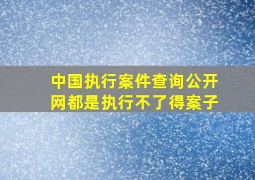 中国执行案件查询公开网都是执行不了得案子