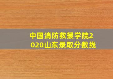 中国消防救援学院2020山东录取分数线