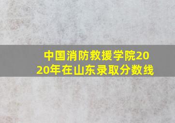 中国消防救援学院2020年在山东录取分数线