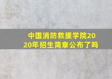 中国消防救援学院2020年招生简章公布了吗