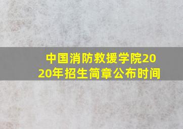 中国消防救援学院2020年招生简章公布时间