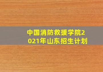 中国消防救援学院2021年山东招生计划