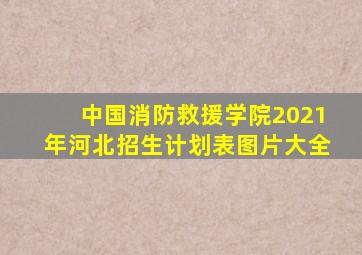 中国消防救援学院2021年河北招生计划表图片大全