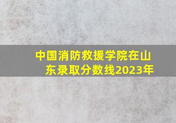 中国消防救援学院在山东录取分数线2023年