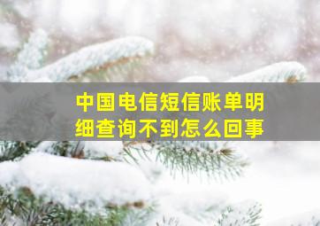 中国电信短信账单明细查询不到怎么回事