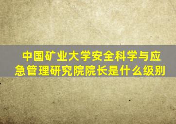 中国矿业大学安全科学与应急管理研究院院长是什么级别