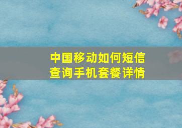 中国移动如何短信查询手机套餐详情