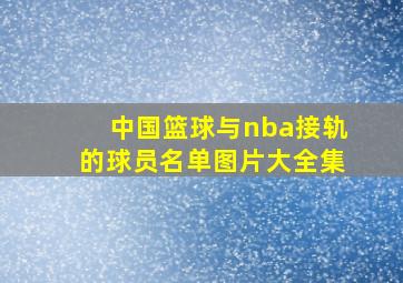 中国篮球与nba接轨的球员名单图片大全集