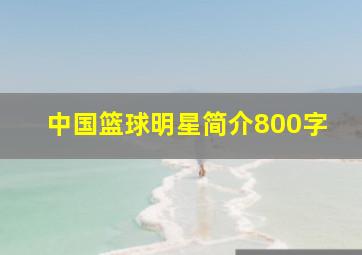 中国篮球明星简介800字