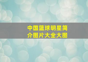 中国篮球明星简介图片大全大图