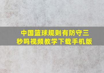 中国篮球规则有防守三秒吗视频教学下载手机版