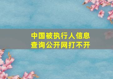 中国被执行人信息查询公开网打不开