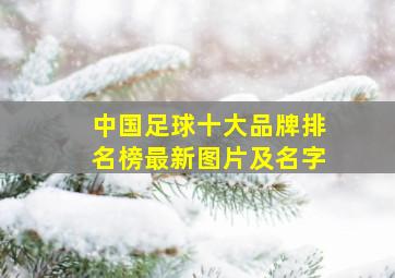 中国足球十大品牌排名榜最新图片及名字