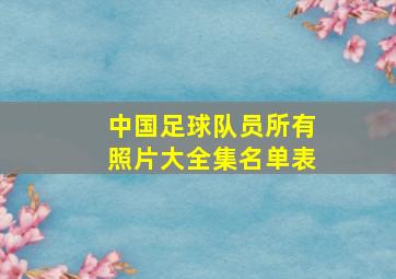 中国足球队员所有照片大全集名单表