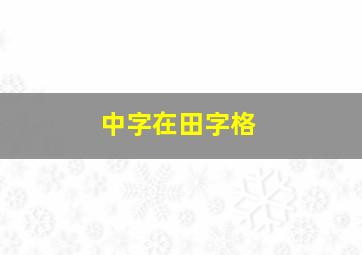 中字在田字格