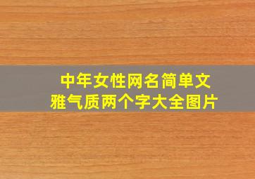 中年女性网名简单文雅气质两个字大全图片