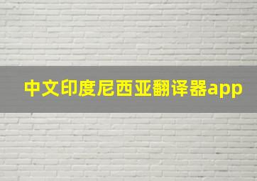 中文印度尼西亚翻译器app