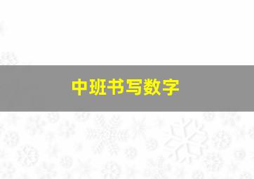 中班书写数字