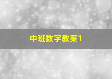 中班数字教案1