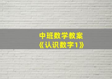 中班数学教案《认识数字1》