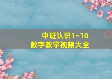 中班认识1~10数字教学视频大全