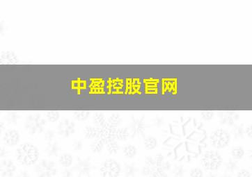 中盈控股官网