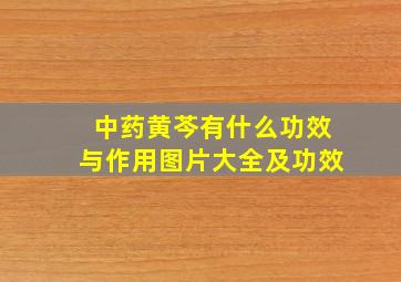 中药黄芩有什么功效与作用图片大全及功效