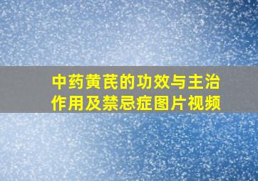 中药黄芪的功效与主治作用及禁忌症图片视频