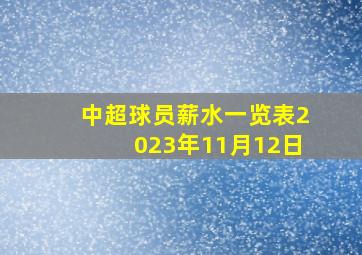 中超球员薪水一览表2023年11月12日