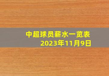 中超球员薪水一览表2023年11月9日