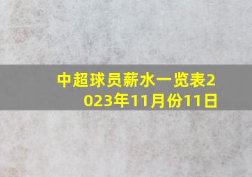 中超球员薪水一览表2023年11月份11日