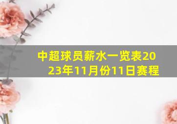 中超球员薪水一览表2023年11月份11日赛程