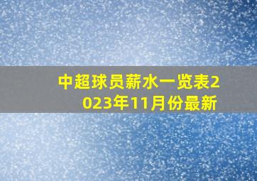 中超球员薪水一览表2023年11月份最新