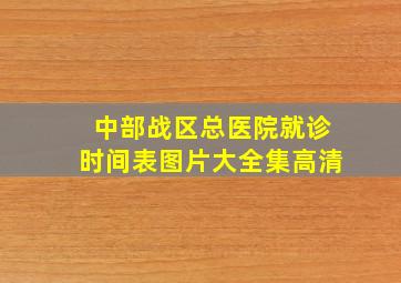 中部战区总医院就诊时间表图片大全集高清