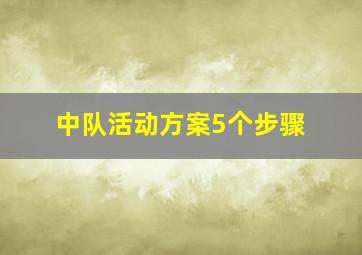 中队活动方案5个步骤