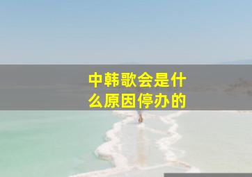 中韩歌会是什么原因停办的