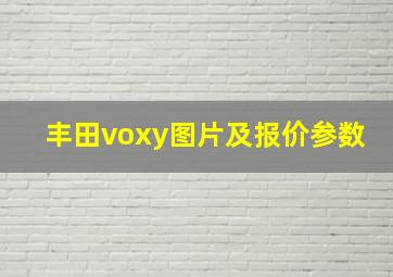 丰田voxy图片及报价参数