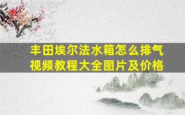 丰田埃尔法水箱怎么排气视频教程大全图片及价格