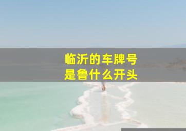 临沂的车牌号是鲁什么开头