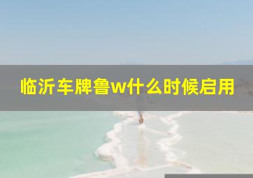 临沂车牌鲁w什么时候启用